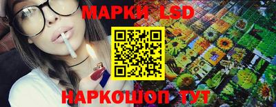 spice Кингисепп
