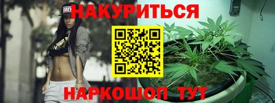 spice Кингисепп