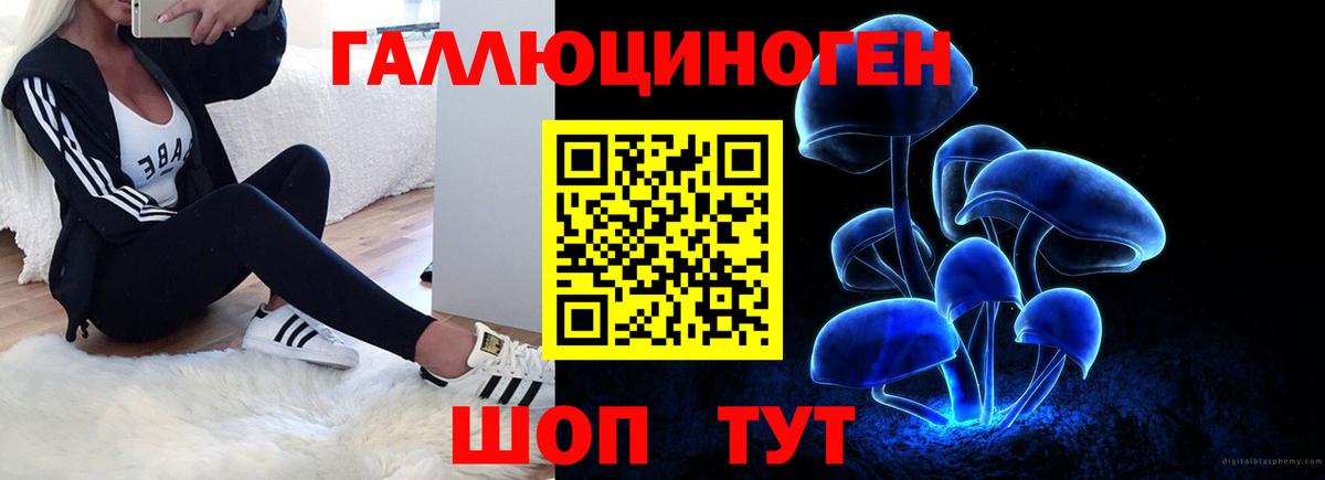 Галлюциногенные грибы прущие грибы  Псилоцибиновые грибы GOLDEN TEACHER  Вход с VPN  Волхов 